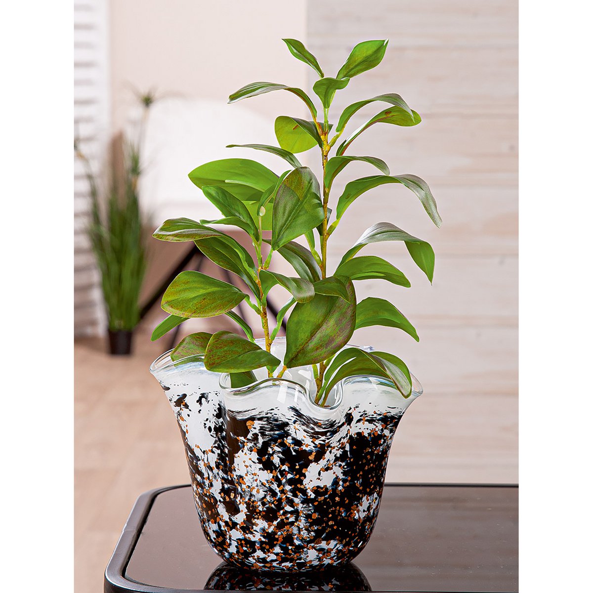 Vaas Petunia H16.5